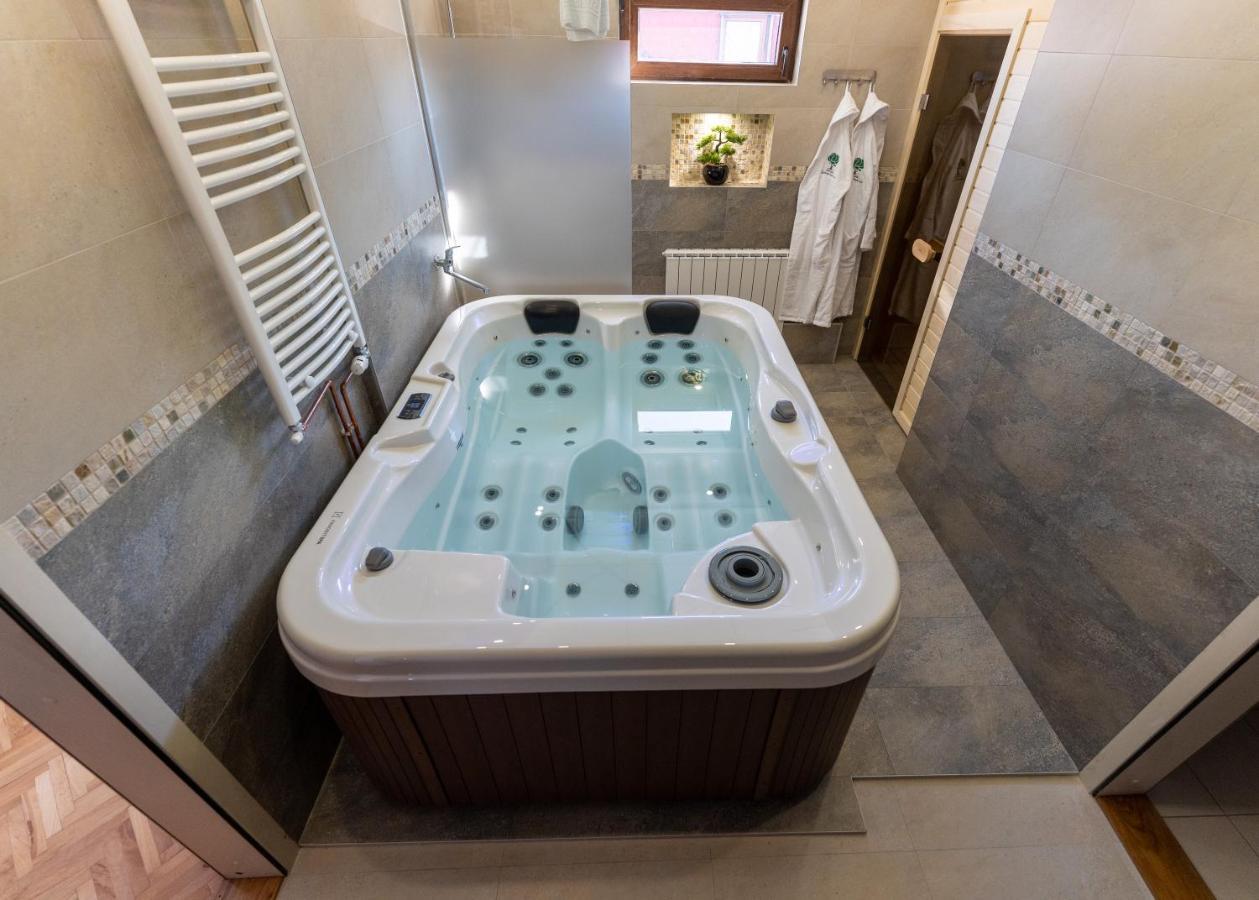 Central Park Home Spa Aranđelovac Exteriér fotografie